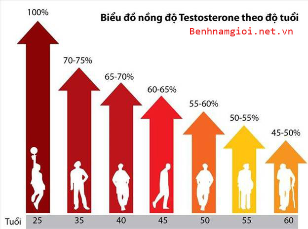 Sự suy giảm nội tiết tố Testosterone theo độ tuổi